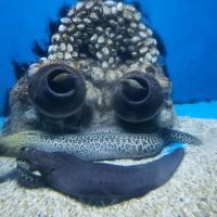 評論圖片 8