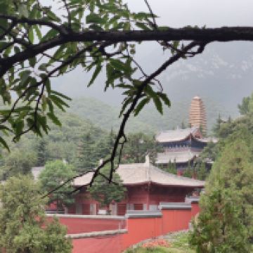 評論圖片 9