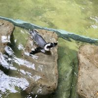 評論圖片 2