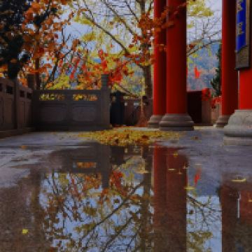 評論圖片 3