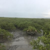 評論圖片 3