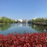 評論圖片 6