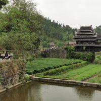 評論圖片 6