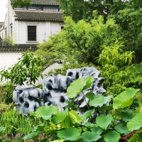 評論圖片 1