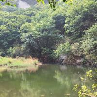 評論圖片 5