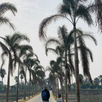 評論圖片 6