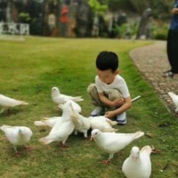 評論圖片 8