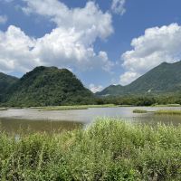 評論圖片 5