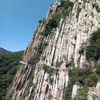 評論圖片 5