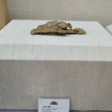 評論圖片 3