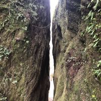 評論圖片 2