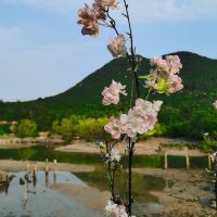 評論圖片 1
