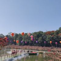 評論圖片 5