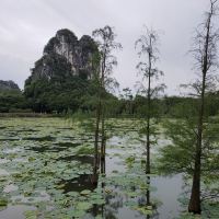 評論圖片 2