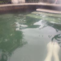 評論圖片 5