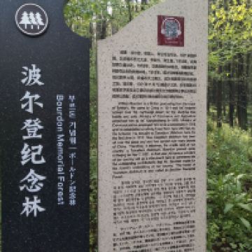 評論圖片 4