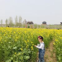 評論圖片 3
