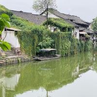 評論圖片 8