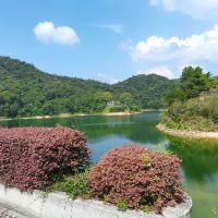 評論圖片 6