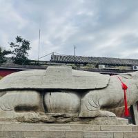 評論圖片 3