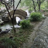 評論圖片 4