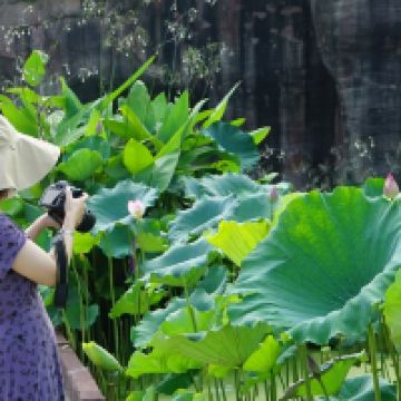 評論圖片 9