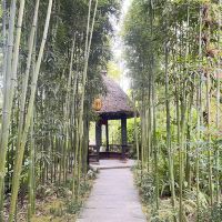 評論圖片 2