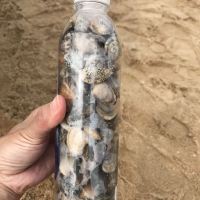 評論圖片 2