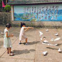 評論圖片 1