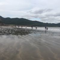 評論圖片 3
