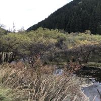 評論圖片 1