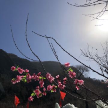 評論圖片 2