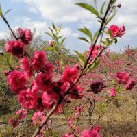 評論圖片 4