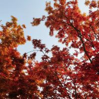 評論圖片 5