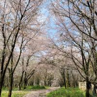 評論圖片 4