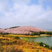 評論圖片 4
