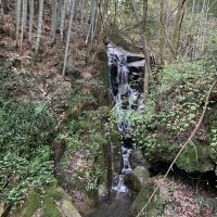 評論圖片 2
