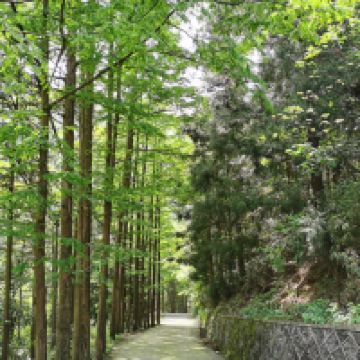 評論圖片 6