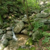 評論圖片 7