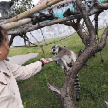 評論圖片 6