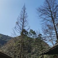 評論圖片 7