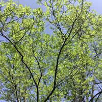 評論圖片 4