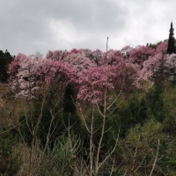 評論圖片 2