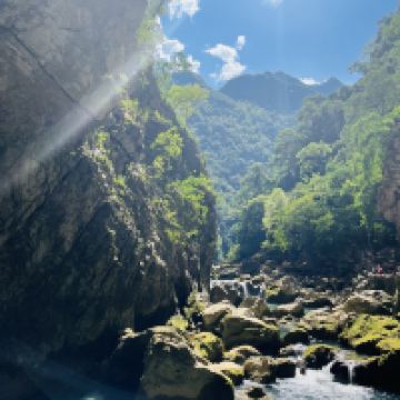 評論圖片 2