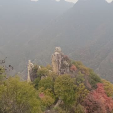 評論圖片 9
