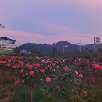 評論圖片 2