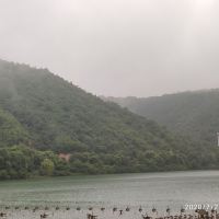 評論圖片 2