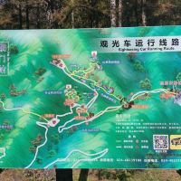 評論圖片 3