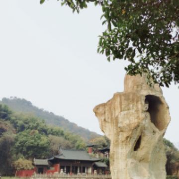 評論圖片 2