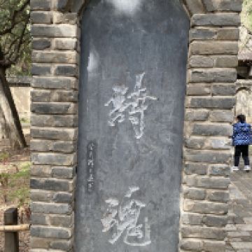 評論圖片 5